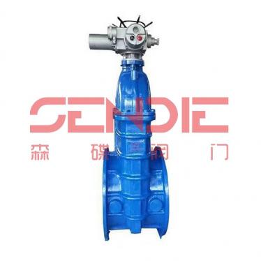 电动铸铁闸阀